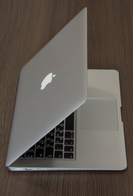 Whitcat contact